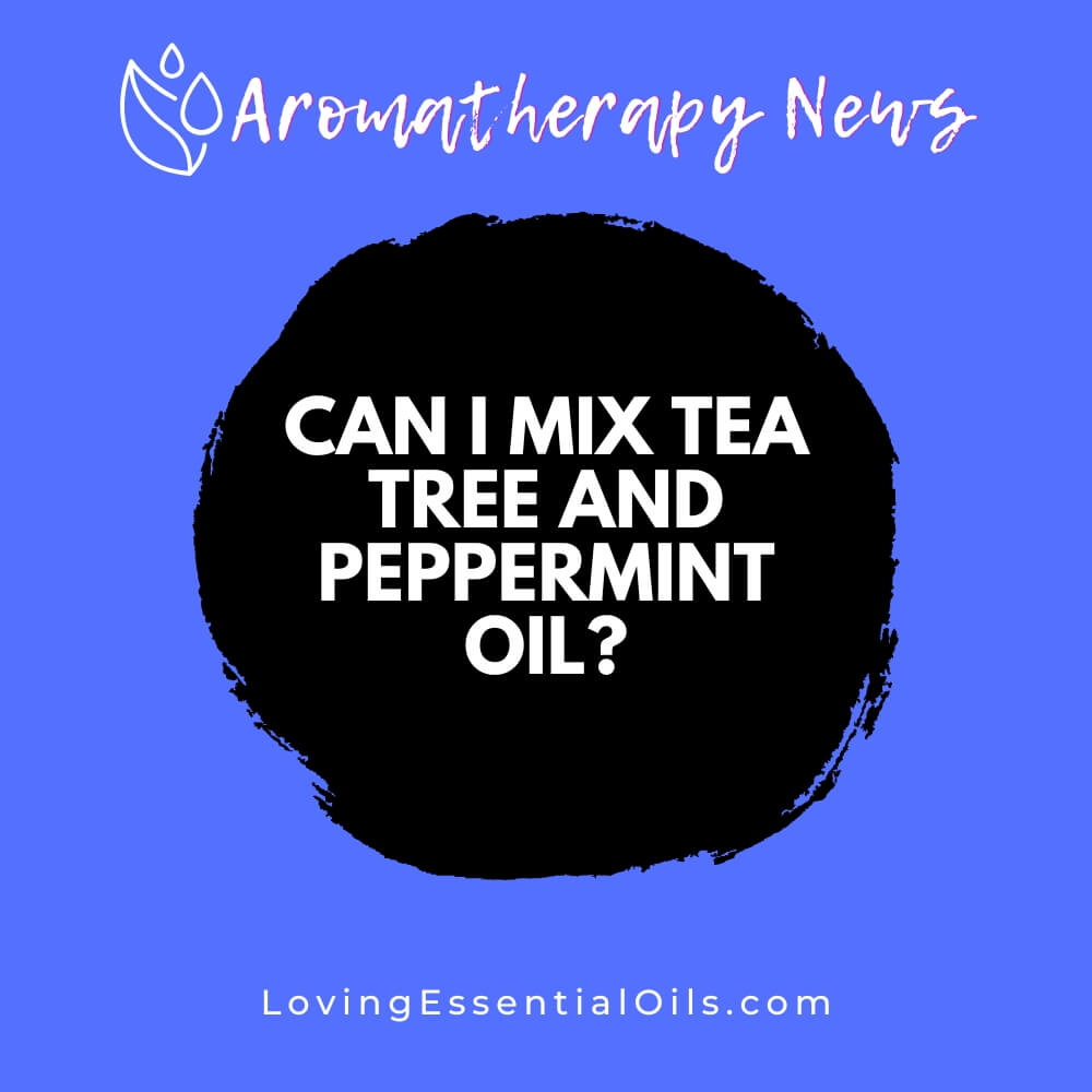 Can I Mix Tea Tree and Peppermint Oil? Skin Care Benefits by Loving Essential Oils