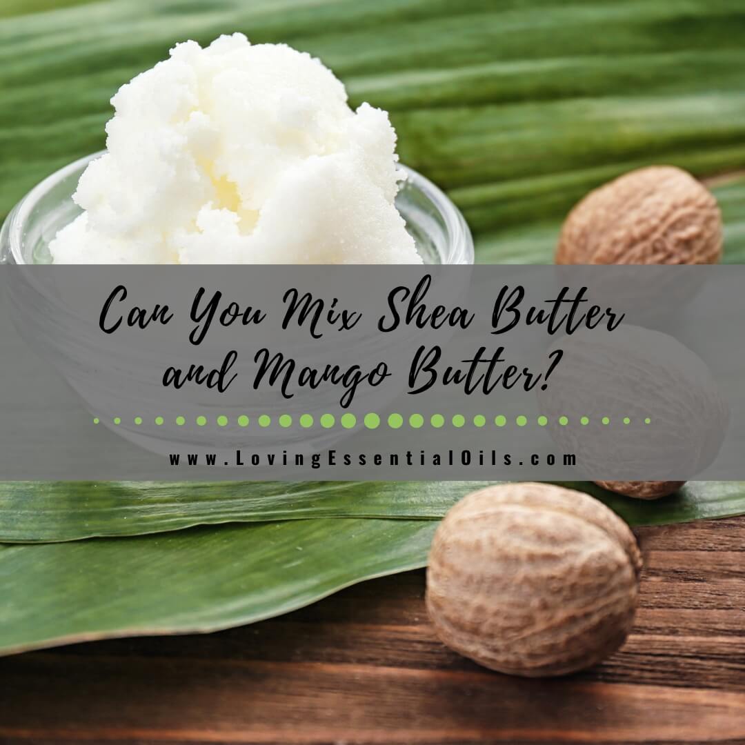 Can You Mix Shea Butter and Mango Butter? by Loving Essential Oils