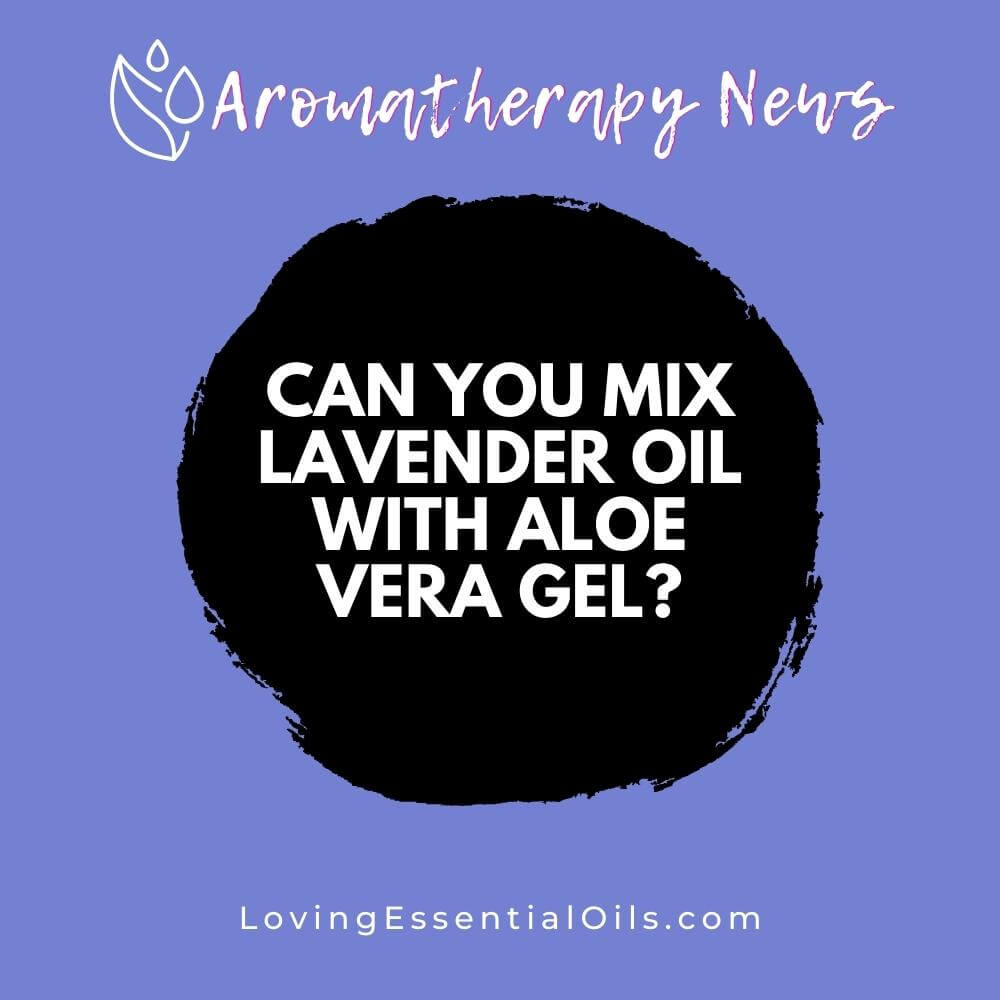 Can you Mix Lavender Oil with Aloe Vera Gel? by Loving Essential Oils