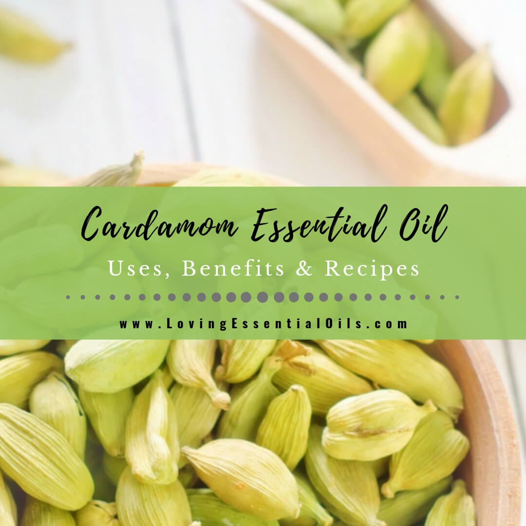Cardamom Essential Oil Uses, Benefits & Recipes by Loving Essential Oils