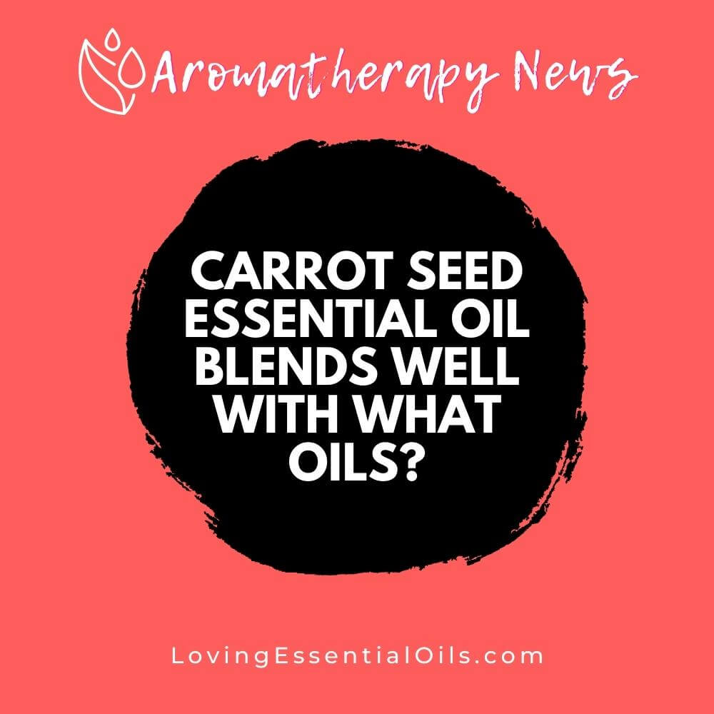Carrot Seed Essential Oil Blends Well With What Oils? by Loving Essential Oils