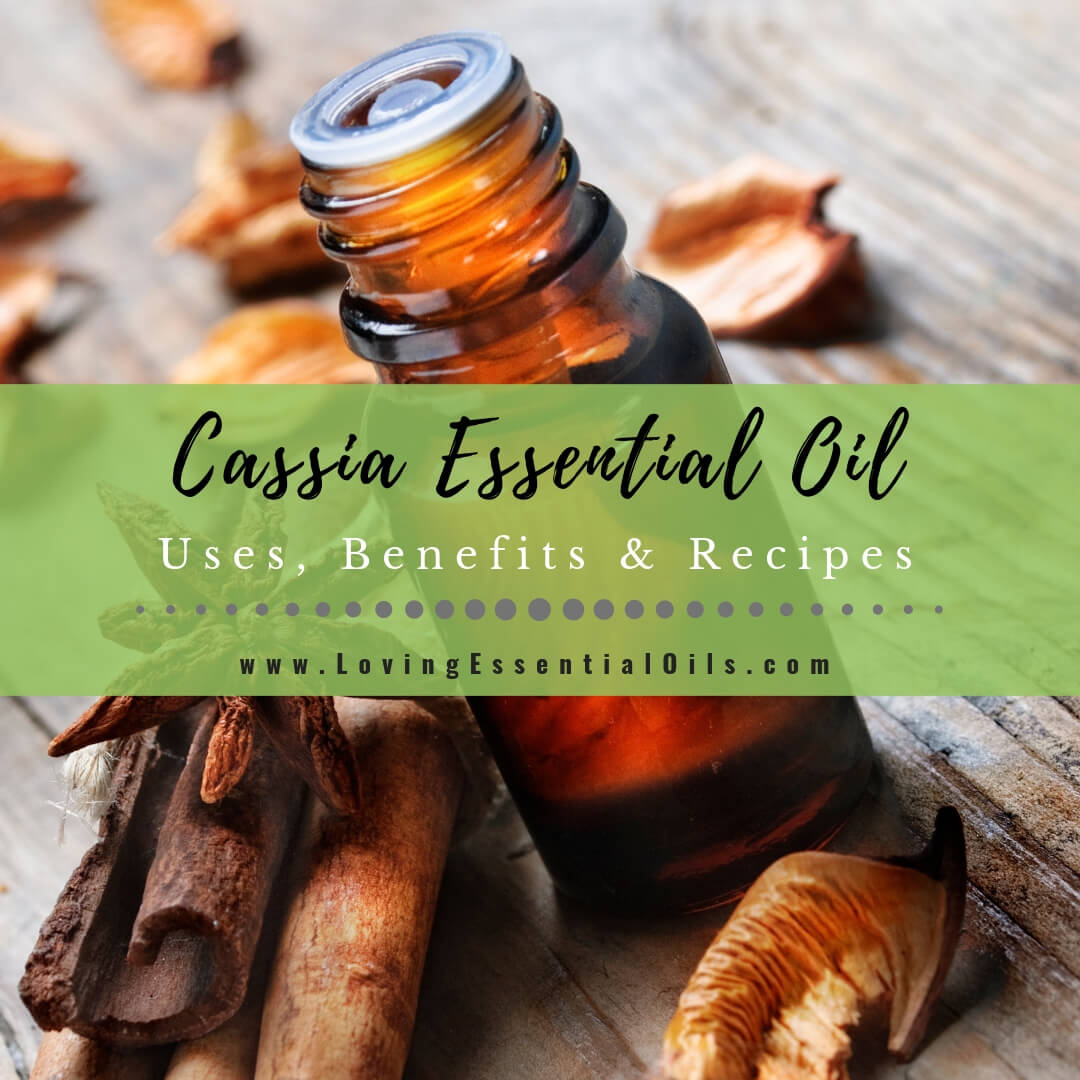 Cassia Essential Oil Uses, Benefits and Recipes Spotlight by Loving Essential Oils