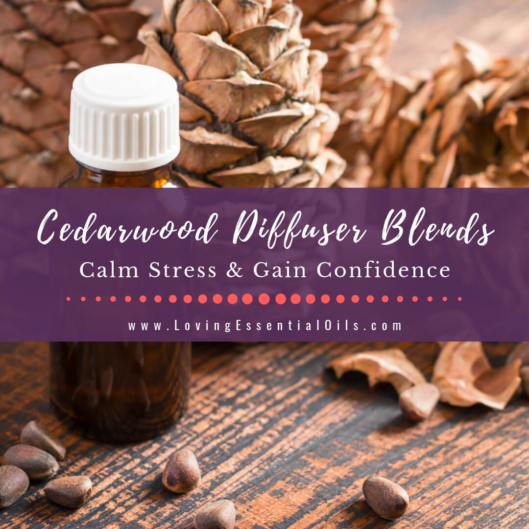 10 Cedarwood Diffuser Blends - Calm Stress and Gain Confidence by Loving Essential Oils