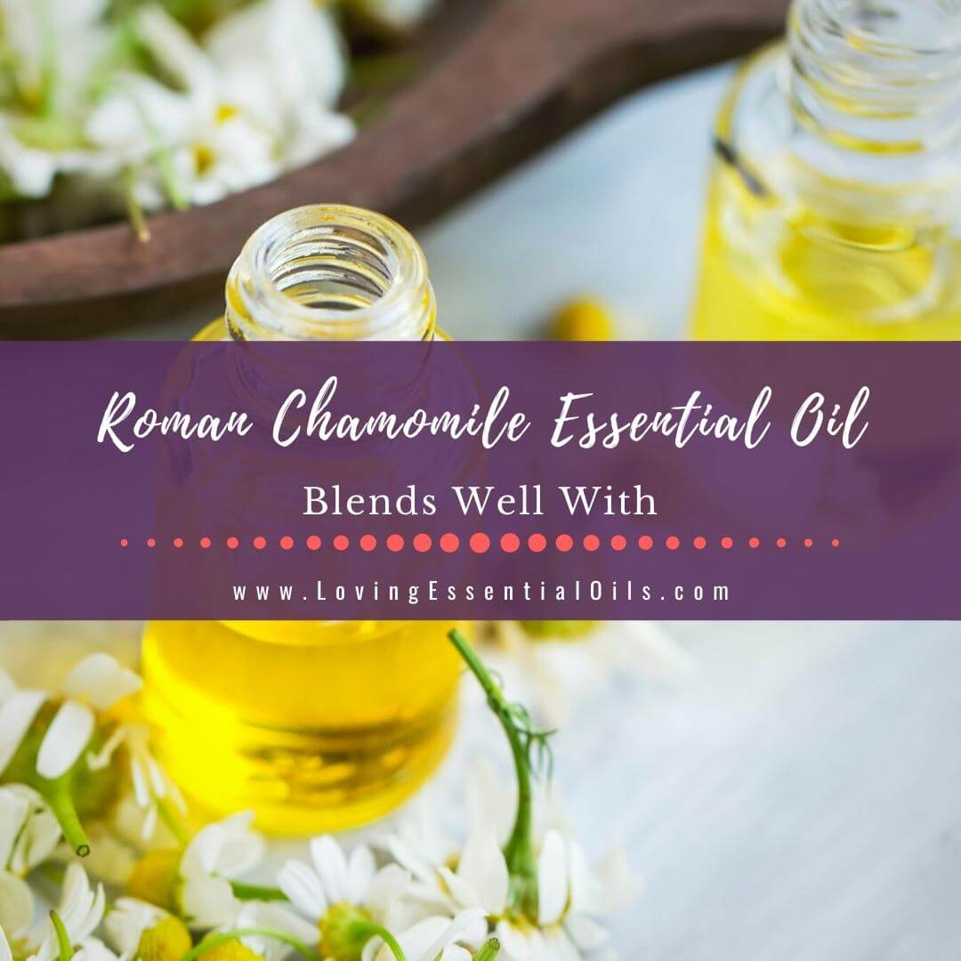 Roman Chamomile Essential Oil Blends Well With for Diffuser by Loving Essential Oils