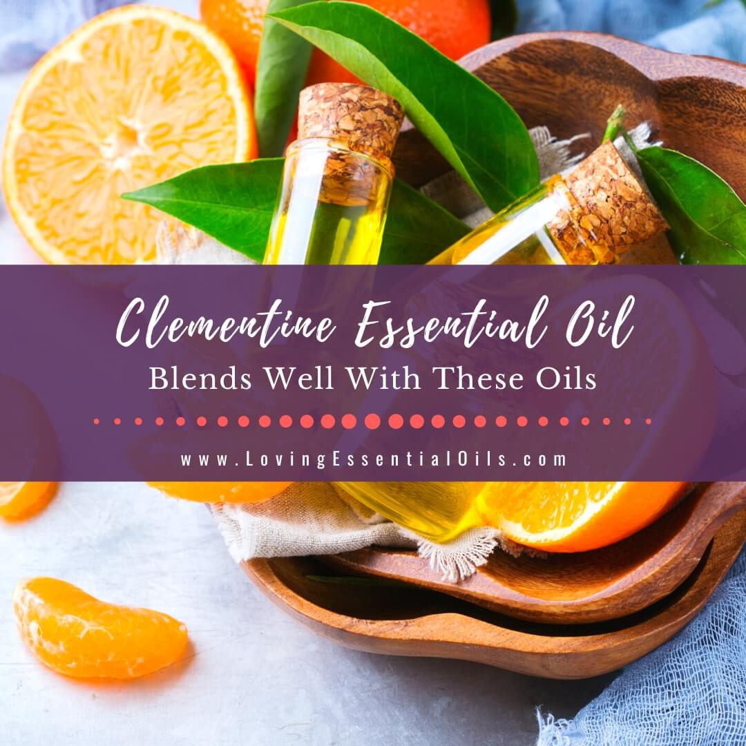 Clementine Blends Well With These Oils - Diffuser Recipes by Loving Essential Oils