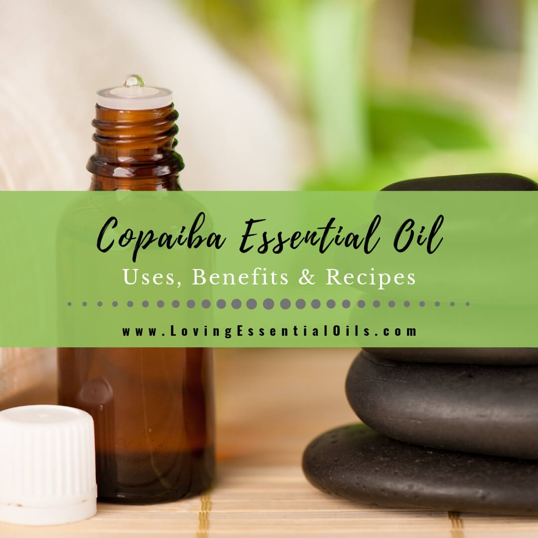 Copaiba Essential Oil Uses, Benefits and Recipes - EO Spotlight by Loving Essential Oils