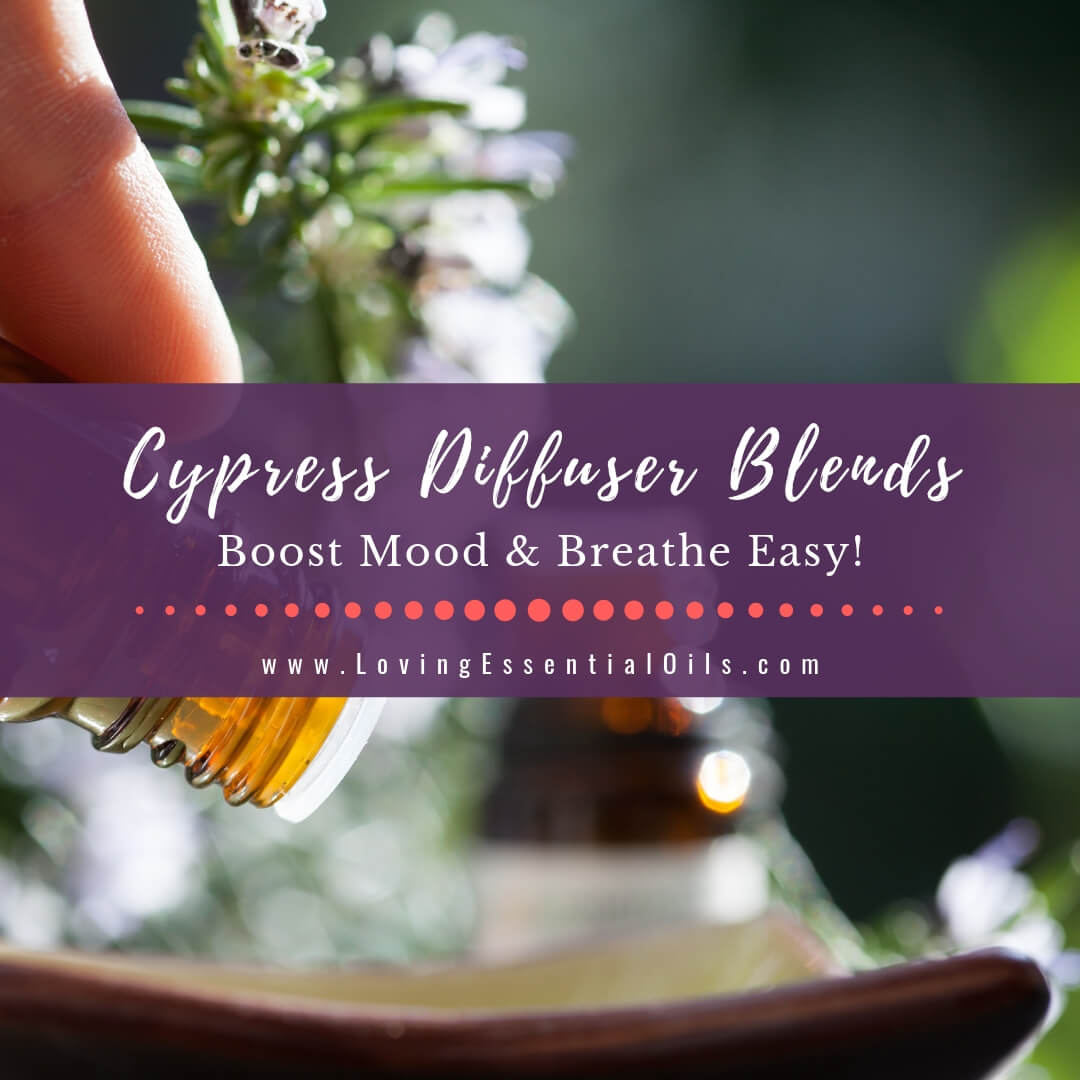 Cypress Diffuser Blends - 10 Mood Boosting Essential Oil Recipes by Loving Essential Oils