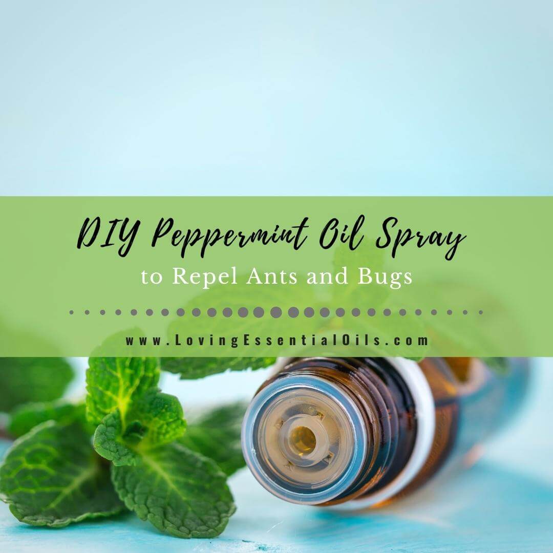 How to Keep Ants Away Without Pesticides by Lovign Essential Oils