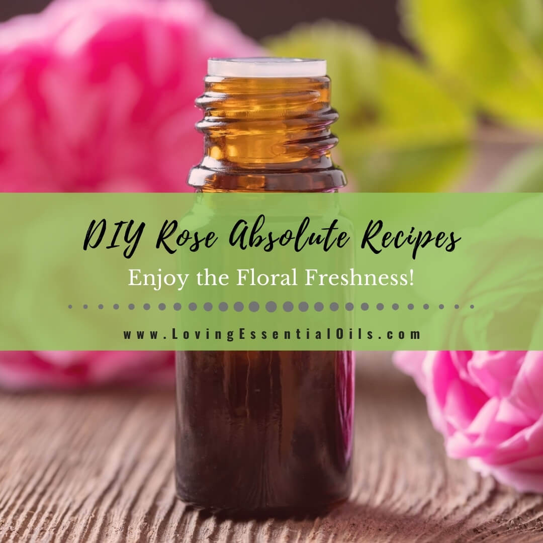 10 Rose Absolute Essential Oil Recipes - DIY Aromatherapy Blends by Loving Essential Oils