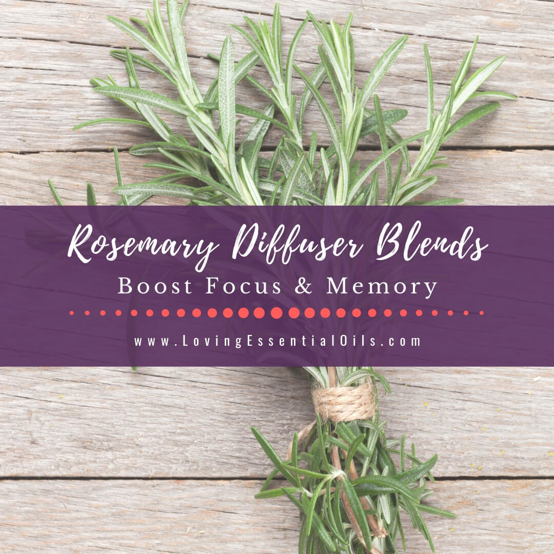 Rosemary Diffuser Blends - 10 Refreshing Essential Oil Recipes - Boost Focus and Memory by Loving Essential Oils