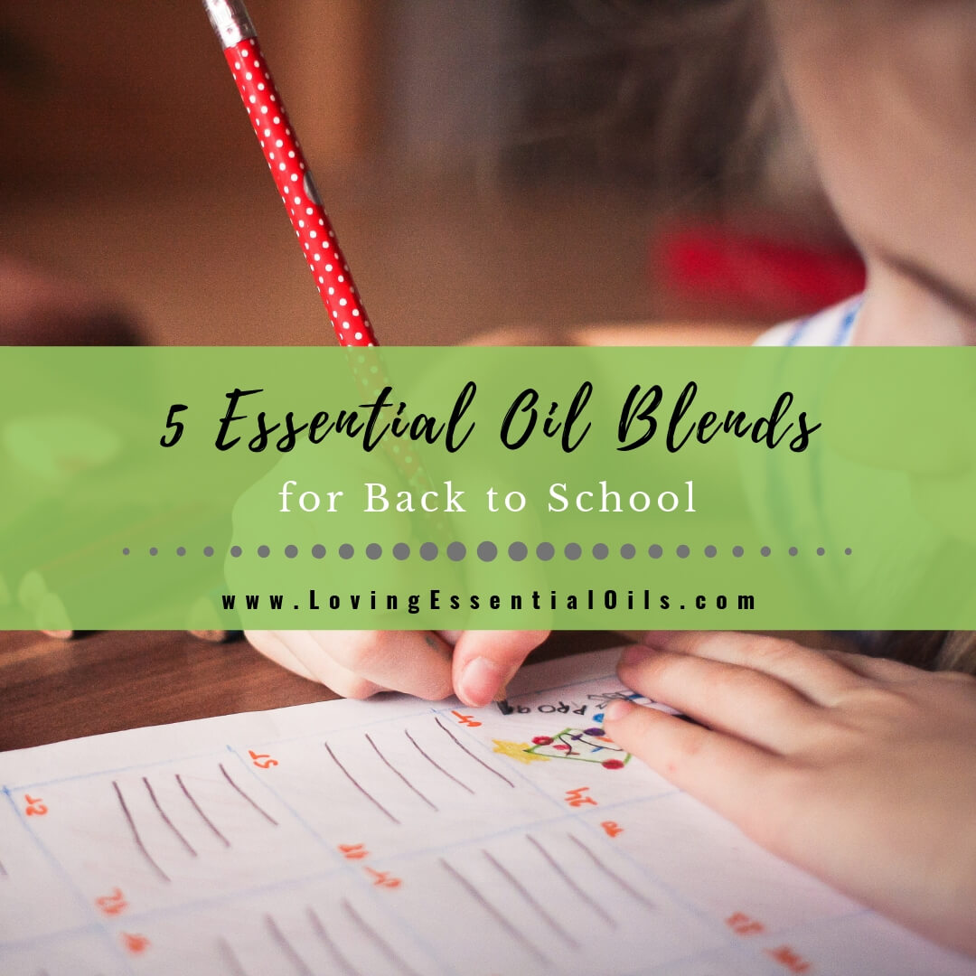 5 Essential Oil Blends for Back to School by Loving Essential Oils