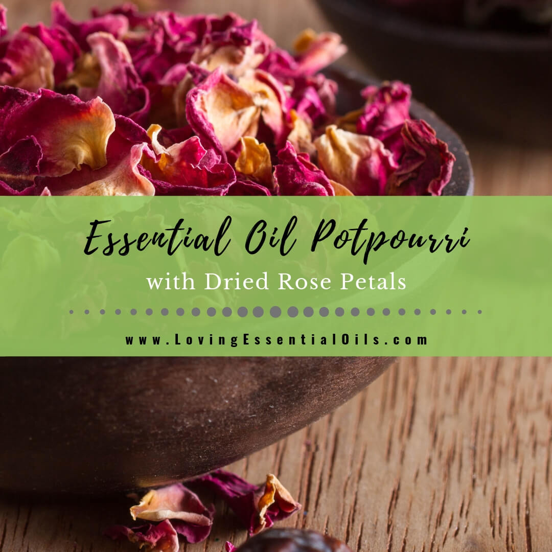 Homemade Essential Oil Potpourri with Rose Petals DIY Recipe by Loving Essential Oils