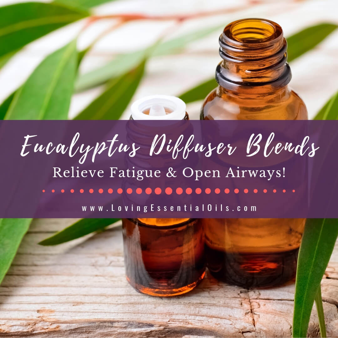 Eucalyptus Diffuser Blends - Relieve Fatigue & Open Airways! by Loving Essential Oils