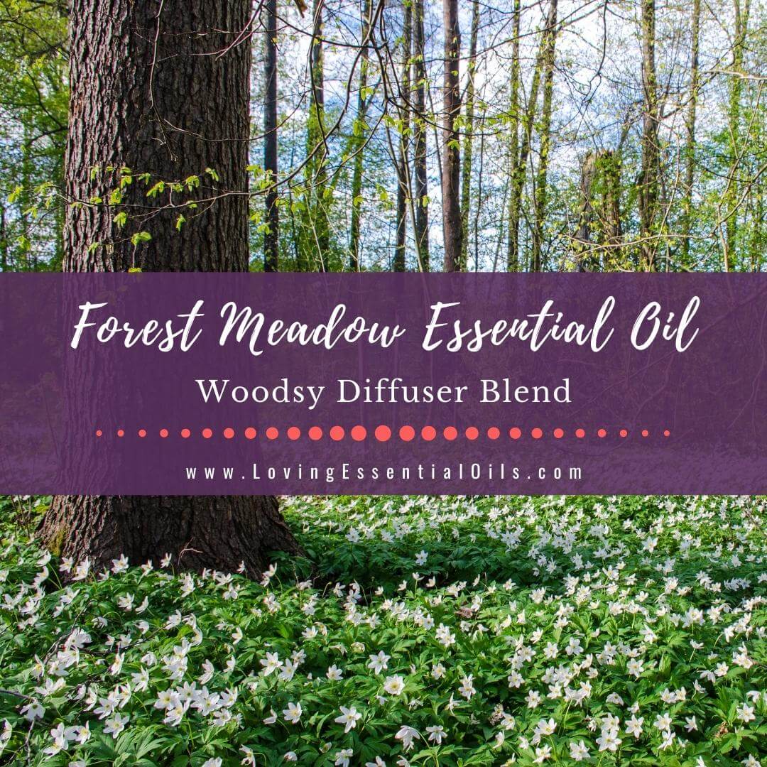 Forest Meadow Essential Oil Diffuser Blend by Loving Essential Oils