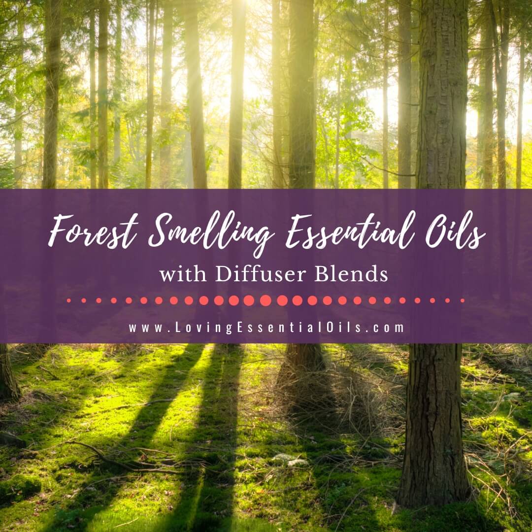 Forest Smelling Essential Oils with Diffuser Blends by Loving Essential Oils