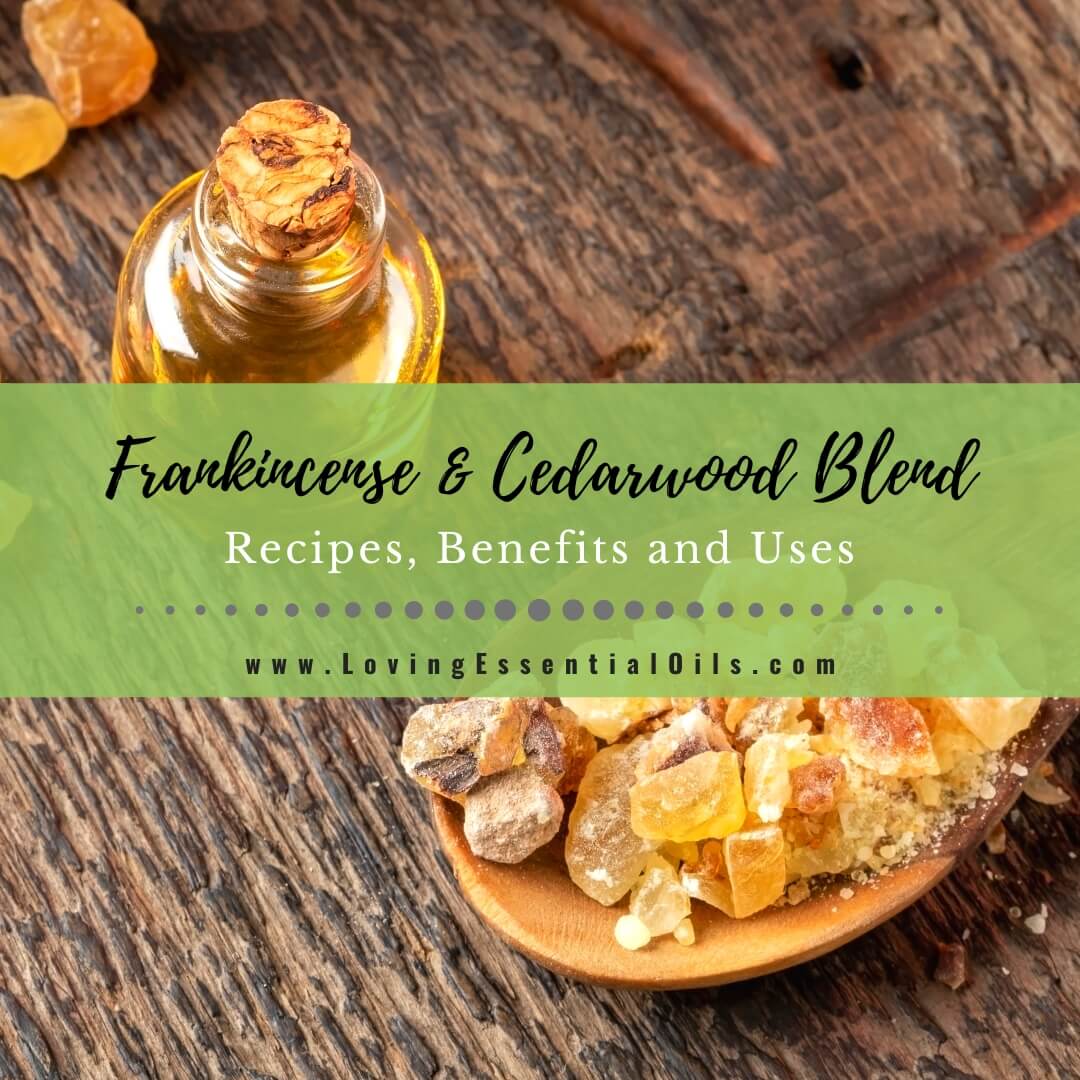 Frankincense and Cedarwood Blend: Recipes, Benefits and Uses by Loving Essential Oils