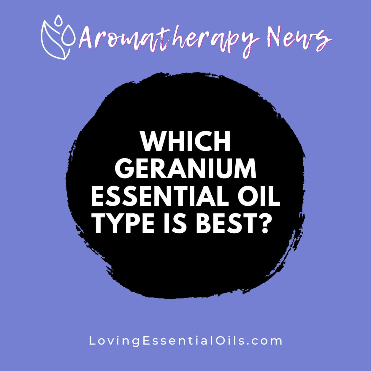Which Geranium Essential Oil Type is Best? Oily FAQ by Loving Essential Oils
