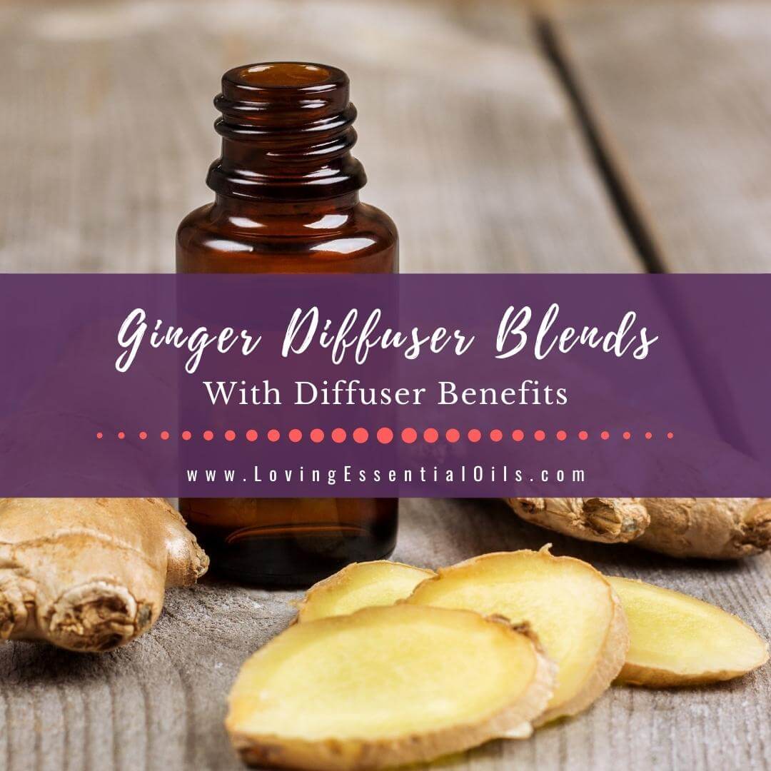 Ginger Diffuser Blends with Essential Oil Benefits by Loving Essential Oils