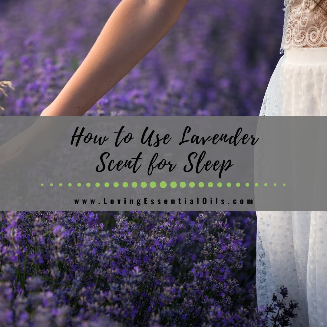 How to Use Lavender Scent for Sleep by Loving Essential Oils