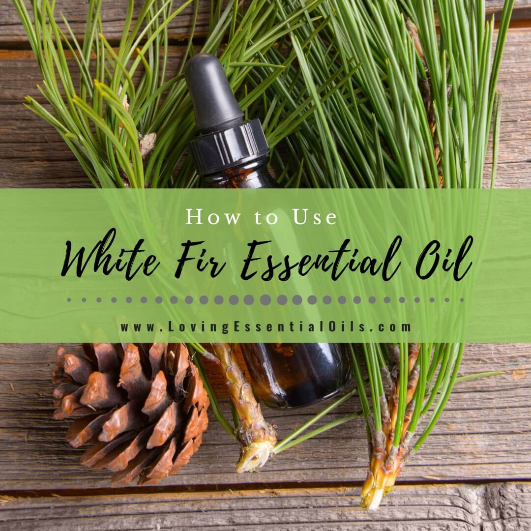 How to Use White Fir Essential Oil For Energy by Loving Essential Oils