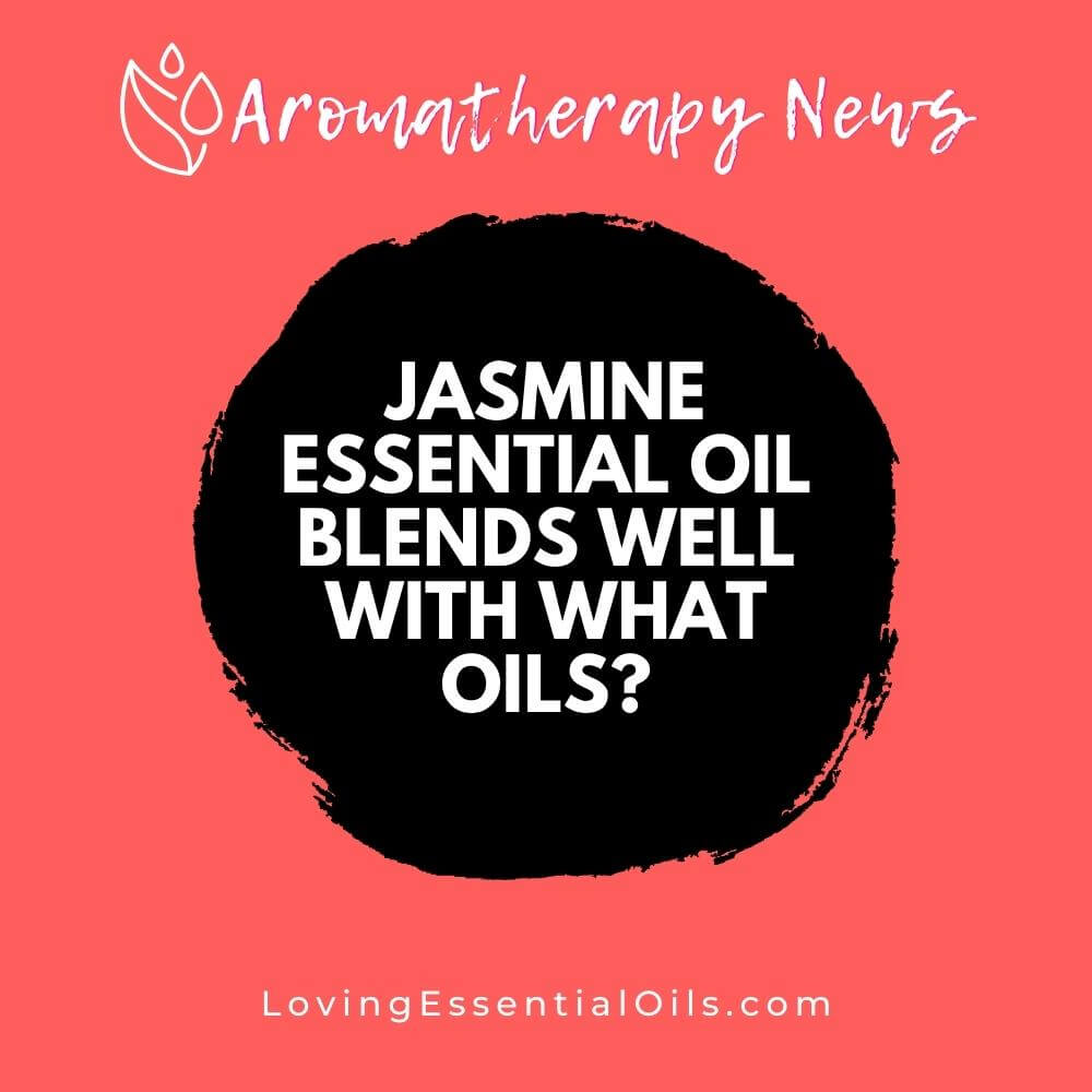 Jasmine Essential Oil Blends Well With These Oils by Loving Essential Oils