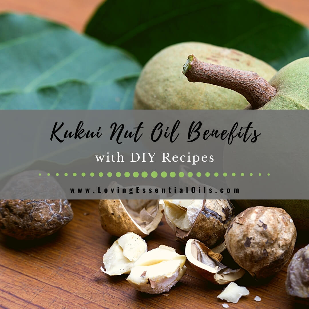 Kukui Nut Oil Benefits and DIY Recipes - Carrier Oil Spotlight by Loving Essential Oils