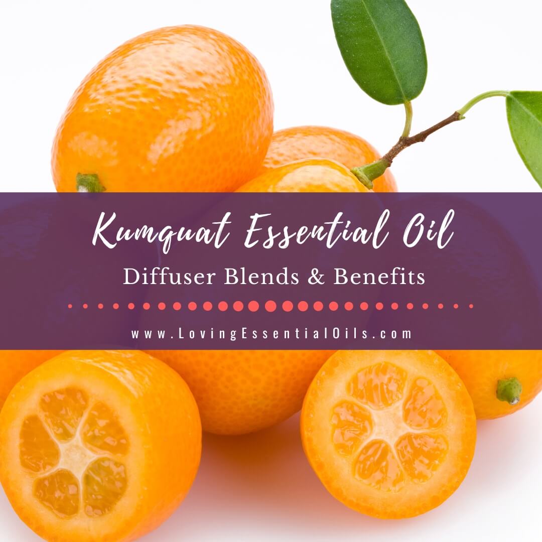 Kumquat Essential Oil Diffuser Blends and Benefits - Revitalize by Loving Essential Oils