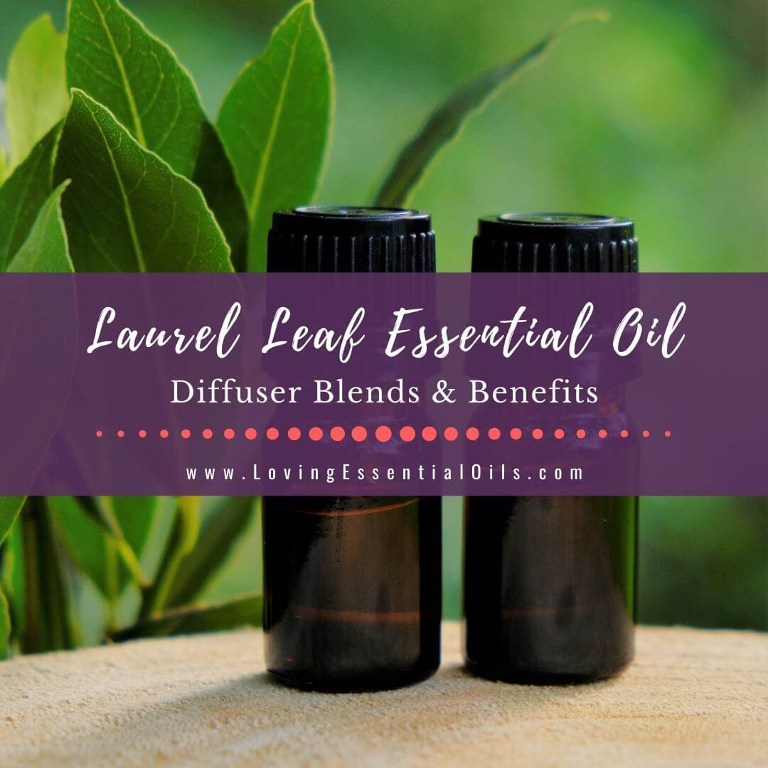 Laurel Leaf Diffuser Blends with Essential Oil Diffusing Benefits by Loving Essential Oils