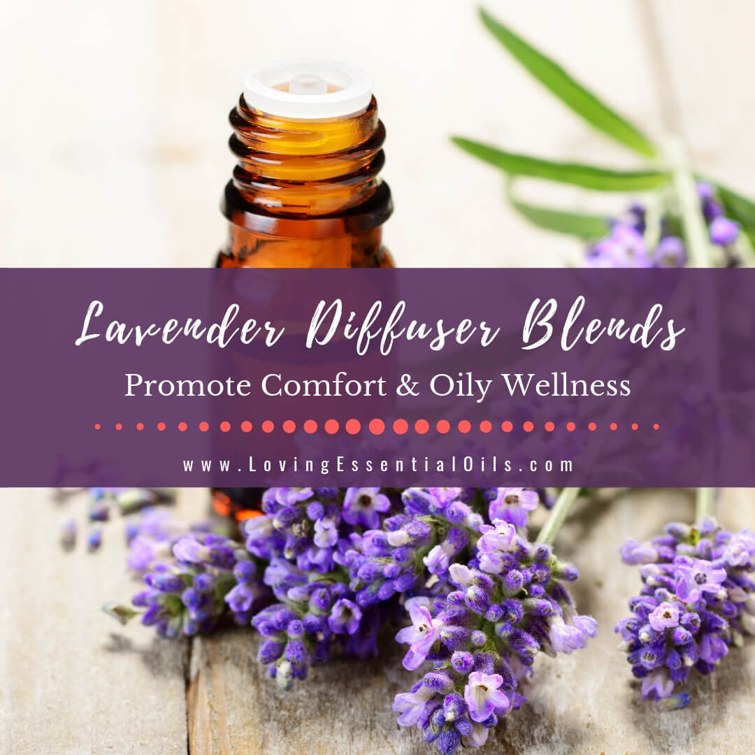 Lavender Diffuser Blends - Promtoe Comfort & Oily Wellness by Loving Essential Oils