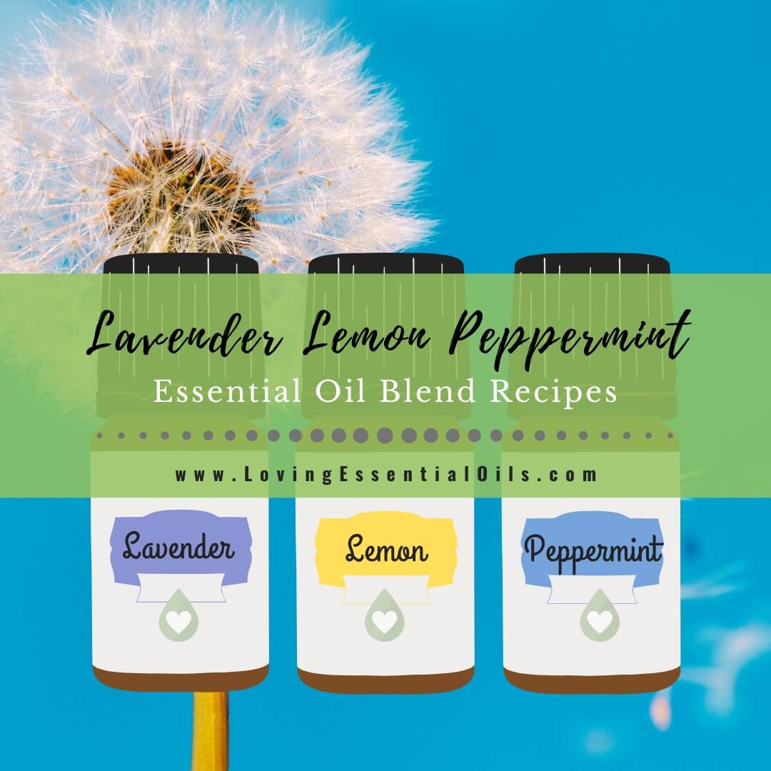 Lavender Lemon Peppermint Oil Blend Recipes - LLP Allergy by Loving Essential Oils