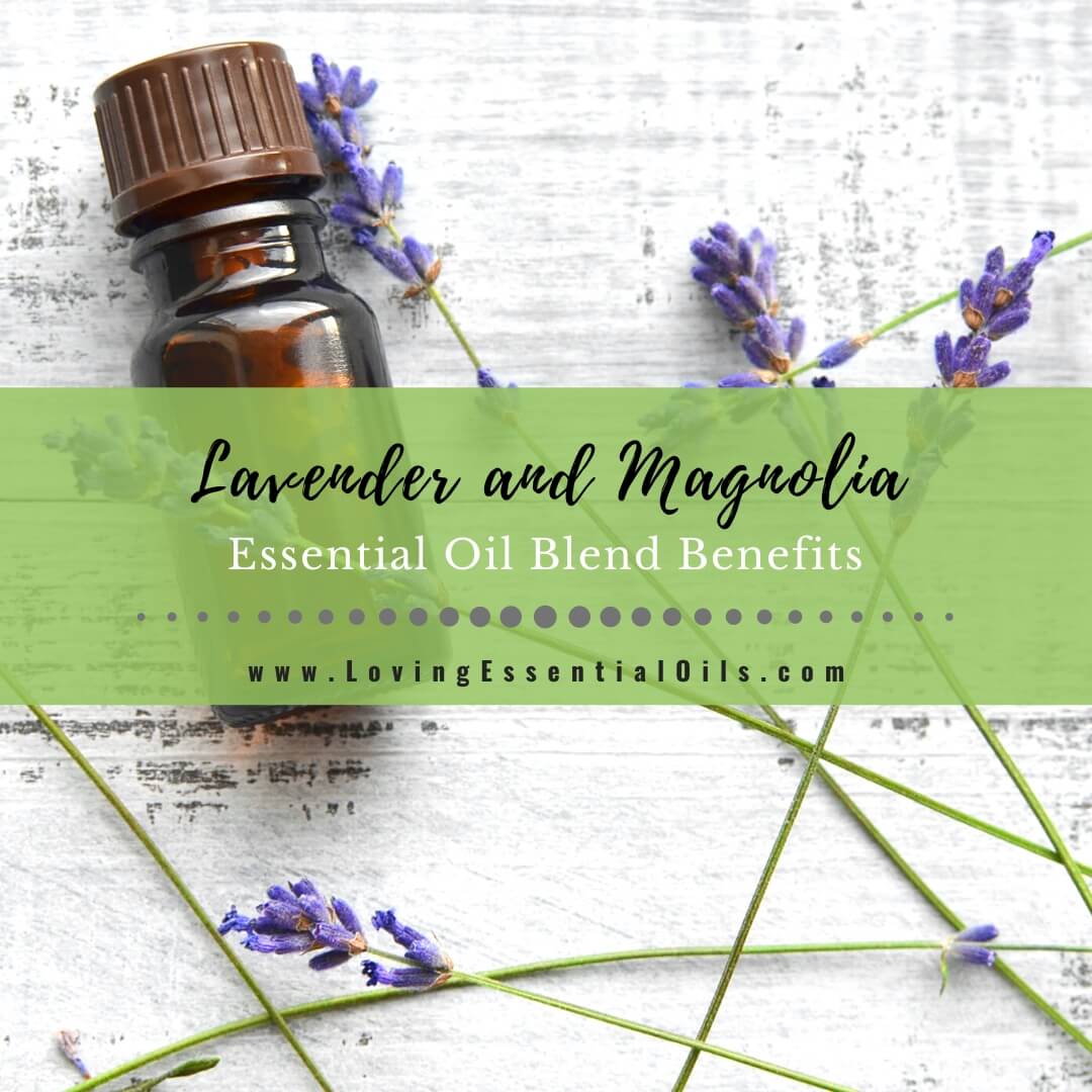 Lavender and Magnolia Essential Oil Blend Benefits by Loving Essential Oils
