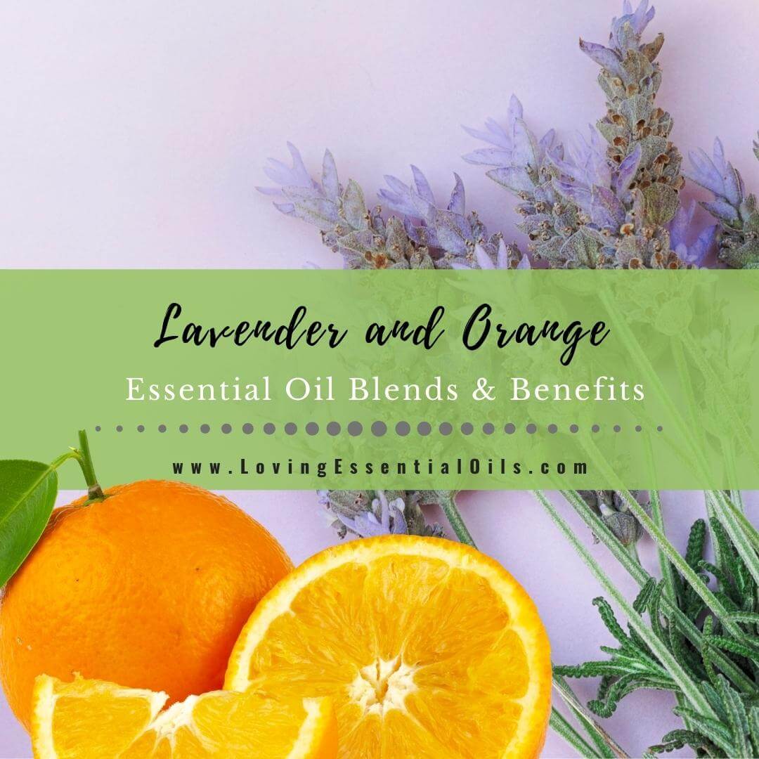 Lavender and Orange Essential Oil Blends and Benefits - DIY Recipes by Loving Essential Oils