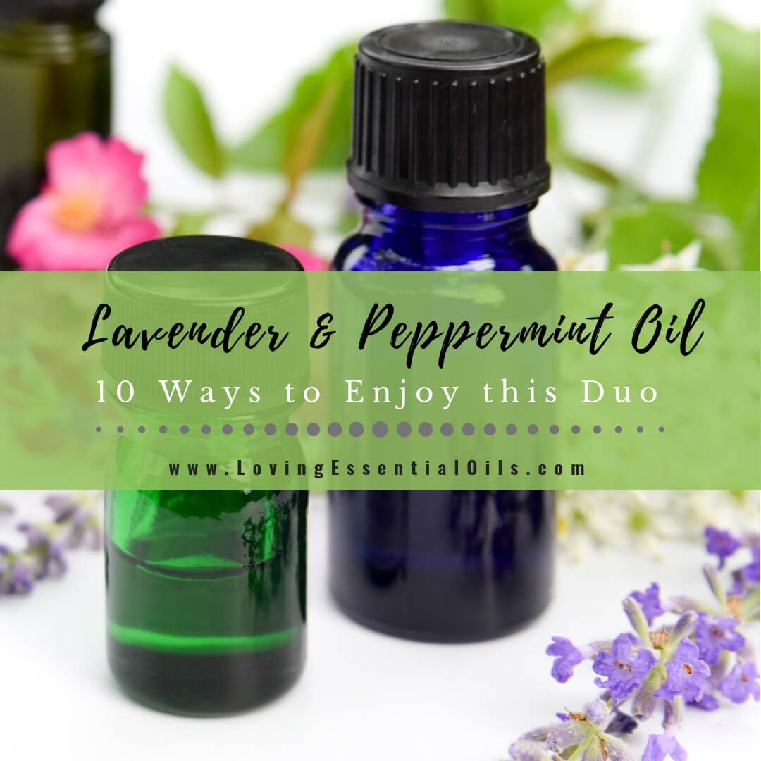 Lavender and Peppermint Oil - 10 Ways to Enjoy this Powerful Duo by Loving Essential Oils