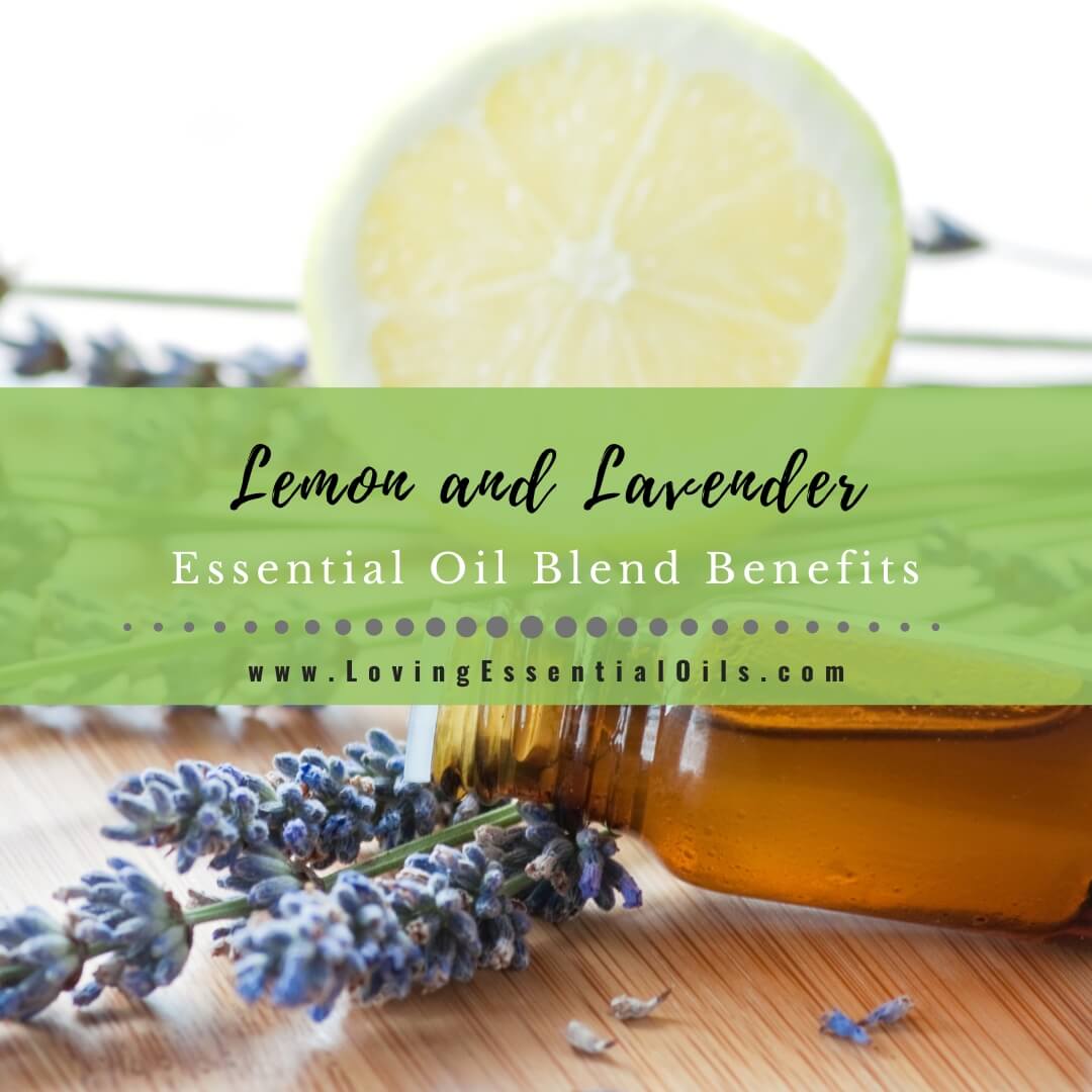 Lemon and Lavender Essential Oil Blend Benefits by Loving Essential Oils
