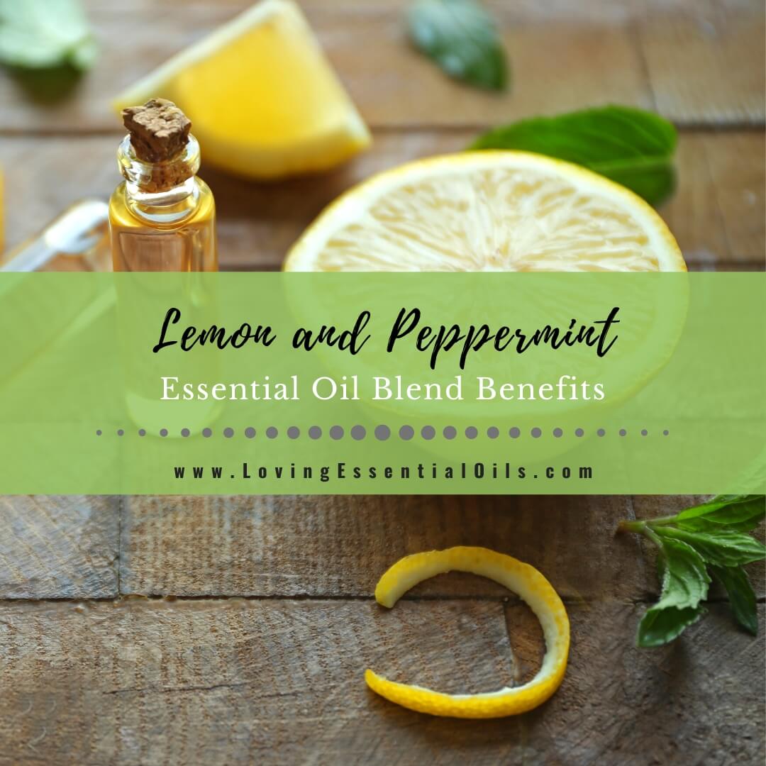 Lemon and Peppermint Essential Oil Blend Benefits by Loving Essential Oils