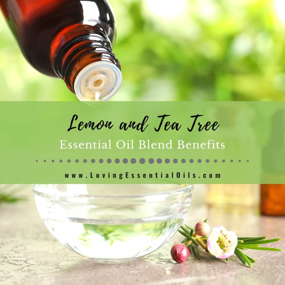 Lemon and Tea Tree Essential Oil Blend Benefits by Loving Essential Oils