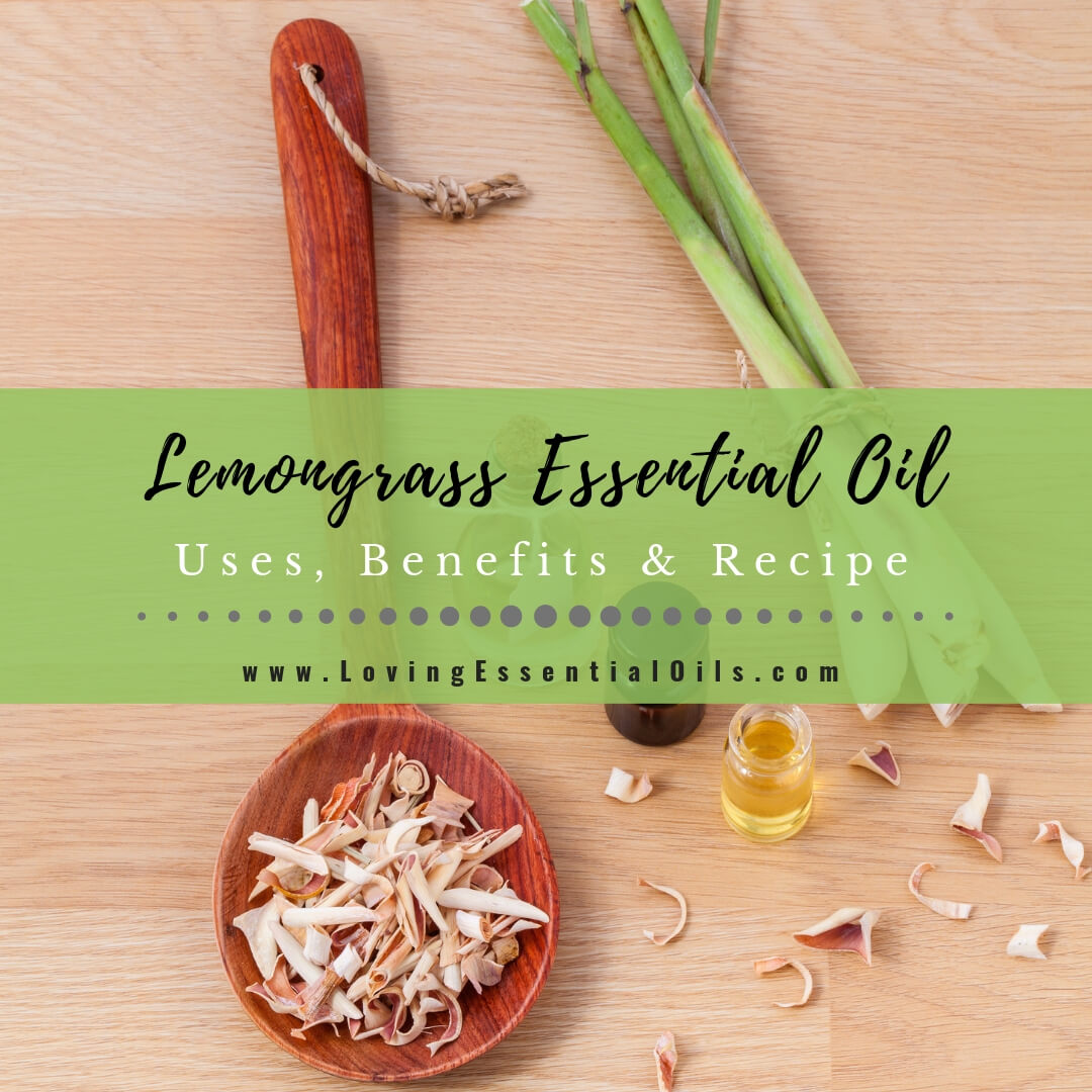 Lemongrass Essential Oil Recipes, Uses and Benefits Spotlight by Loving Essential Oils