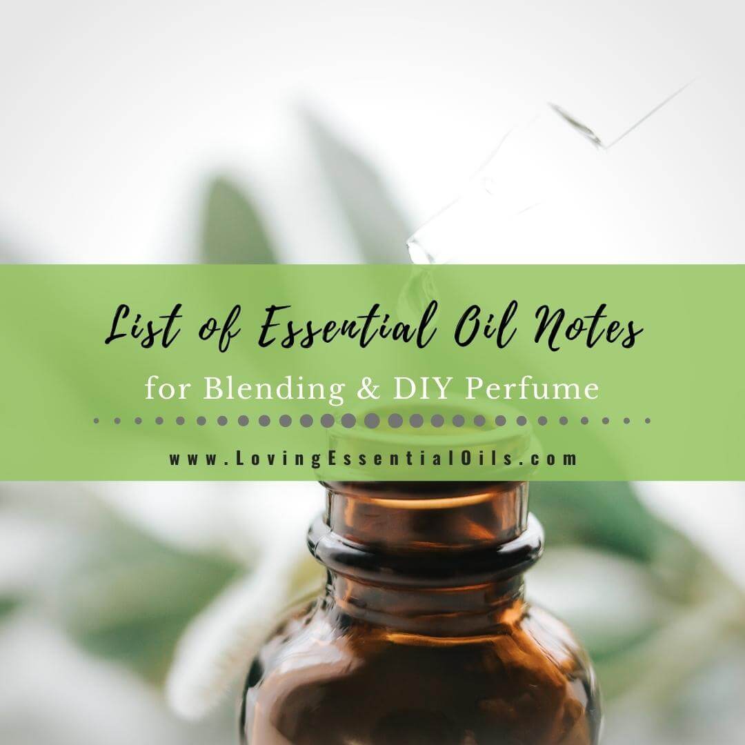 List of Essential Oil Notes for Blending and DIY Perfume by Loving Essential Oils