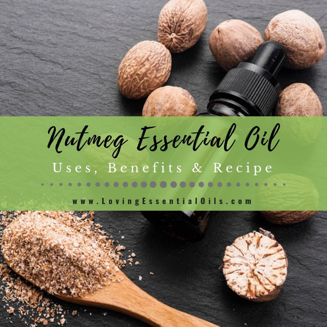 Nutmeg Essential Oil Uses, Benefits and Recipes by Loving Essential Oils