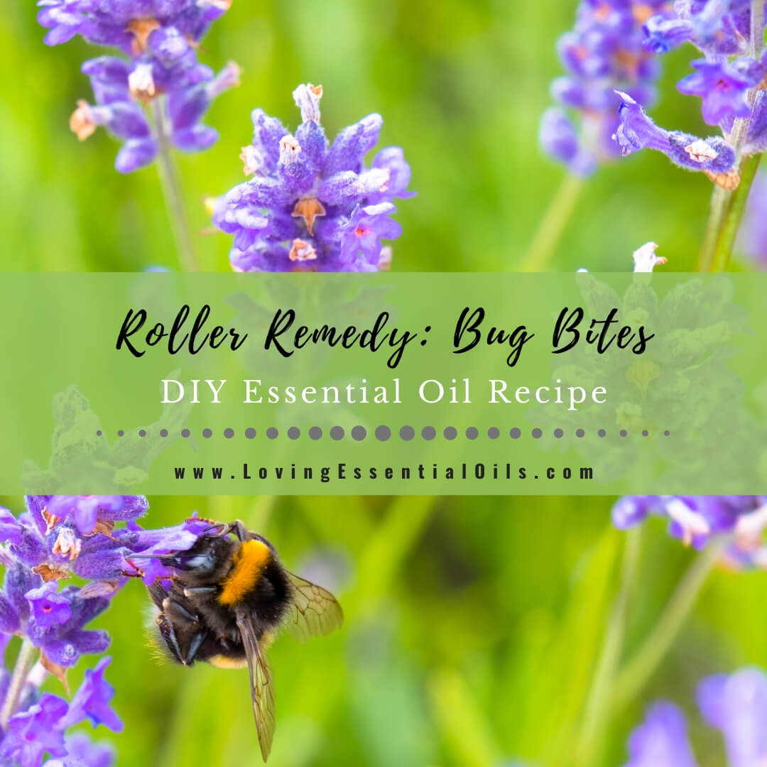 How to Make an Essential Oil Recipe for Bug Bites - DIY Roller Blend by Loving Essential Oils
