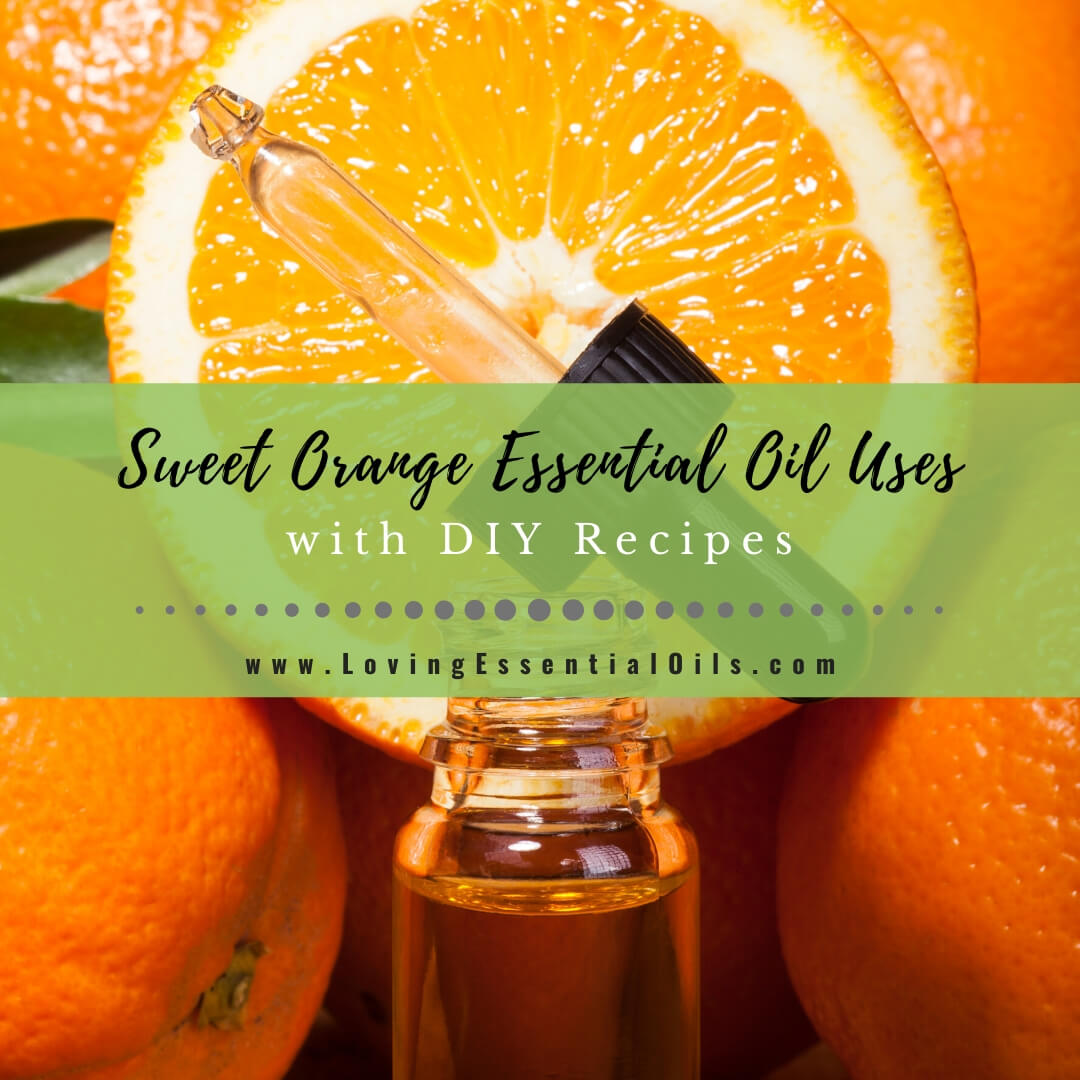Sweet Orange Essential Oil Uses and Benefits - EO Spotlight by Loving Essential Oils