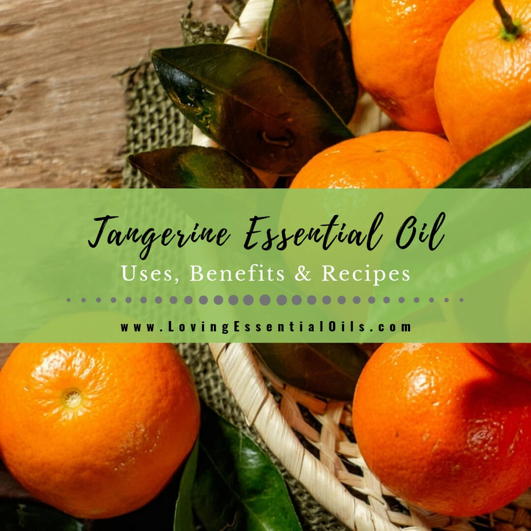 Tangerine Essential Oil Uses, Benefits and Recipes - EO Spotlight by Loving Essential Oils