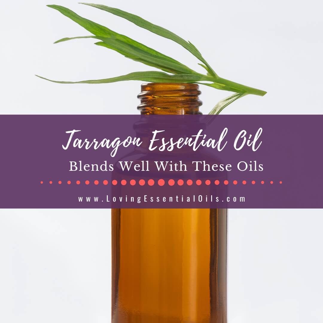 Tarragon Essential Oil Blends Well With These Oils + Substitutes by Loving Essential Oils