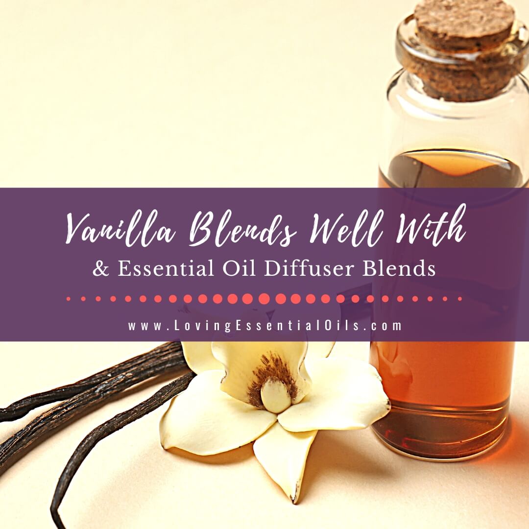 Vanilla Essential Oil Blends Well With PLUS Diffuser Blends by Loving Essential Oils