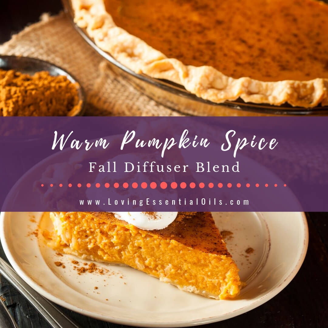 Warm Pumpkin Spice Essential Oil Blends for Diffuser and Inhaler by Loving Essential Oils