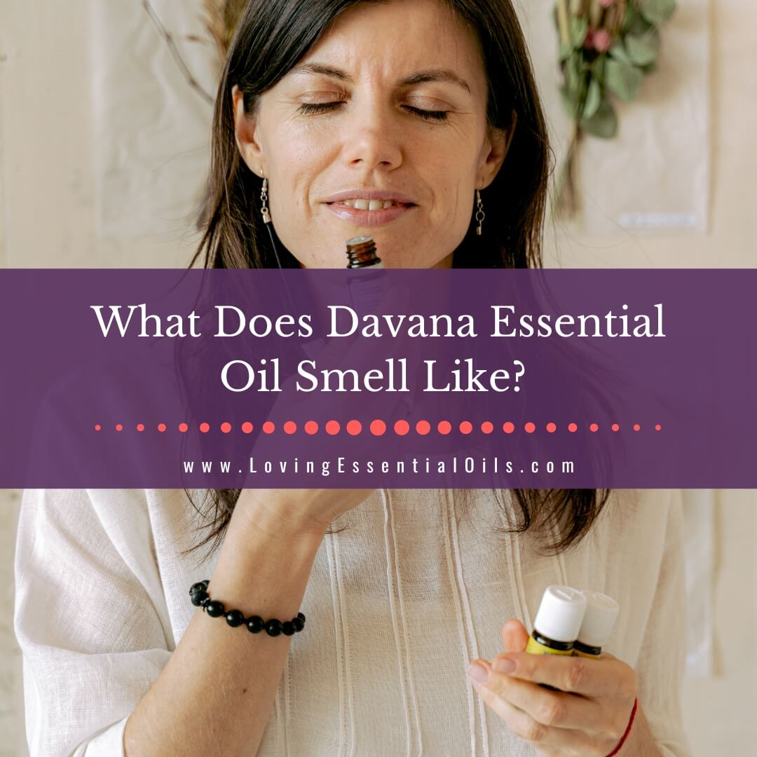 What Does Davana Essential Oil Smell Like? Plus Diffuser Blends by Loving Essential Oils