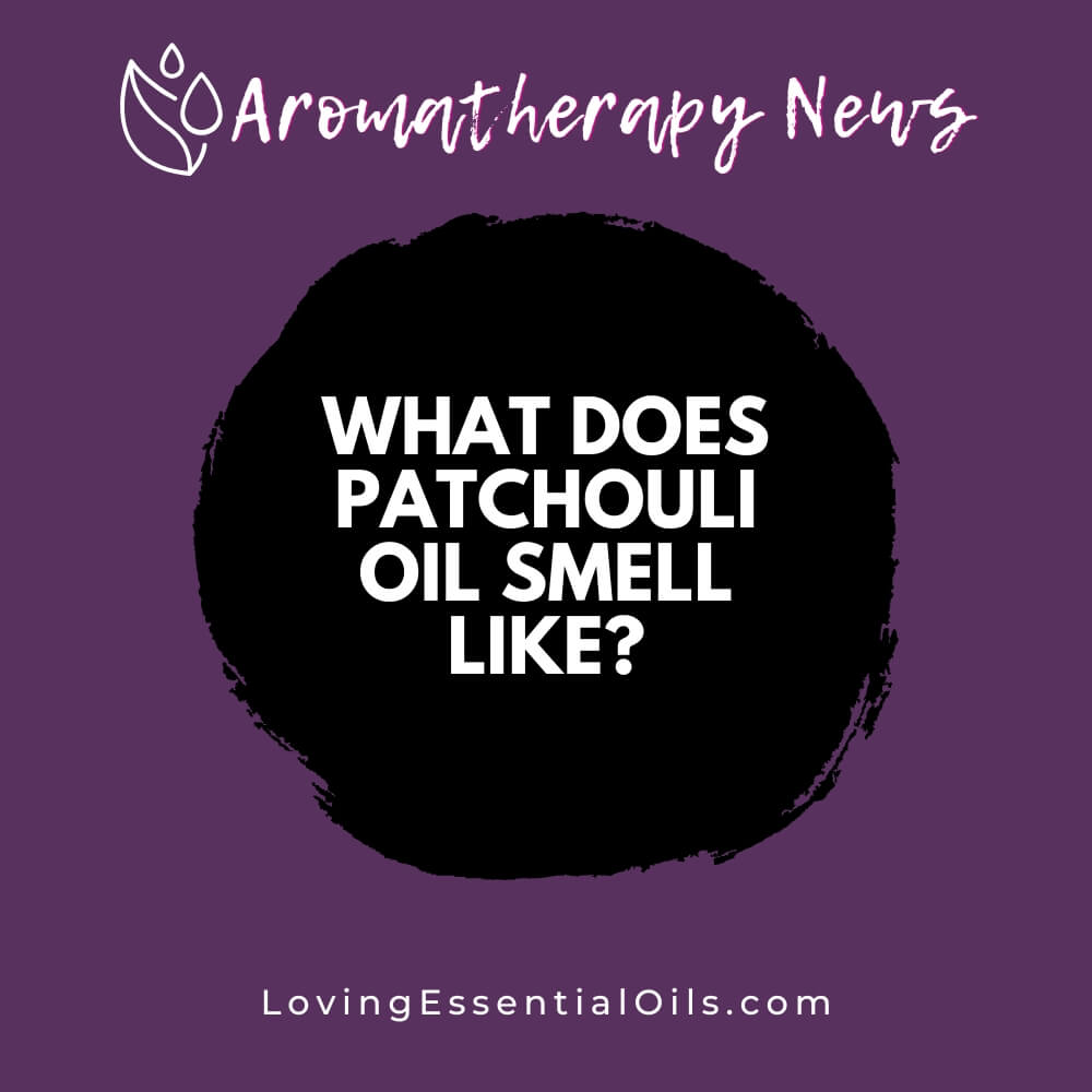 What Does Patchouli Oil Smell Like? Earthy and Musky Scent Loving Essential Oils