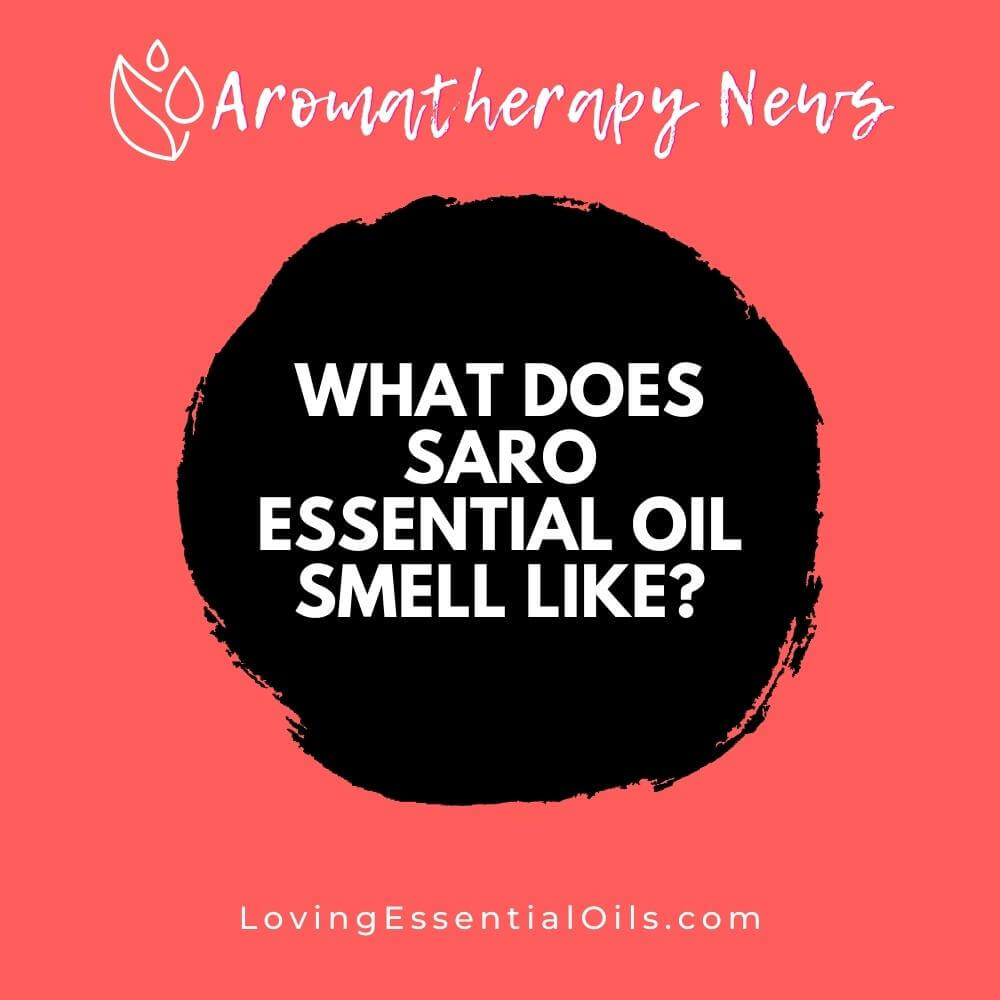 What Does Saro Essential Oil Smell Like? Plus Substitute Oils by Loving Essential Oils