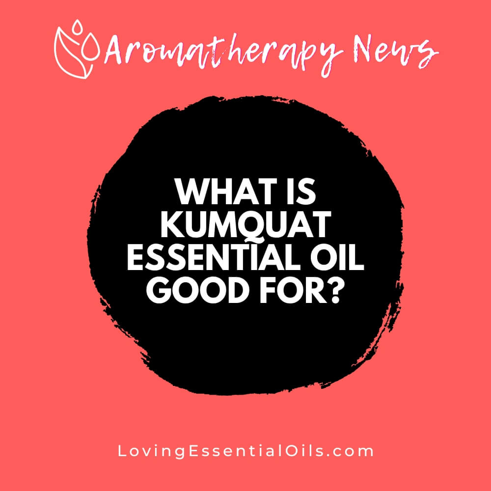 What is Kumquat Essential Oil Good For? Cleaning and Uplifting by Loving Essential Oils