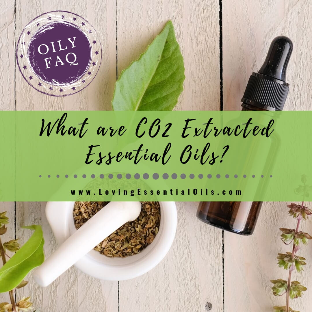 What are CO2 Extracted Essential Oils? Oily FAQ by Loving Essential Oils